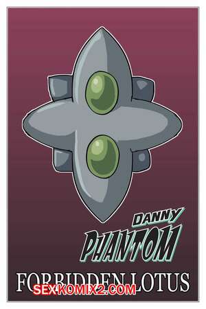 Порно комикс Дэнни Фантом. Потерянные воспоминания. Danny Phantom. Lost memories. 9feith noir